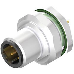 Foto van Weidmüller 2421740000 sensor/actuator steekconnector m12 aantal polen: 4 stekker, inbouw verticaal 10 stuk(s)