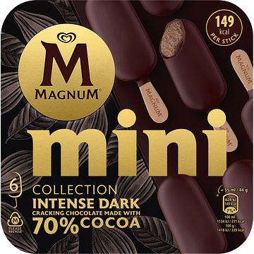 Foto van Magnum mini ijs intense dark 6 x 55ml bij jumbo