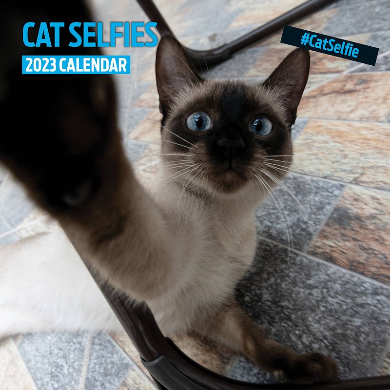 Foto van Cat selfies kalender 2023