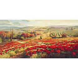 Foto van Roberto lombardi - red poppy panorama kunstdruk 120x60cm