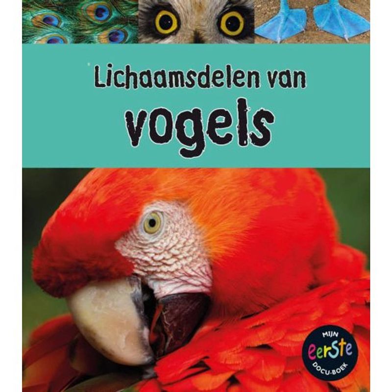 Foto van Lichaamsdelen van vogels - onder de loep