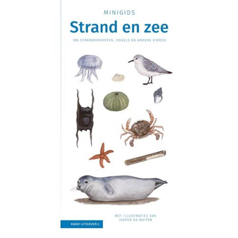 Foto van Minigids strand en zee - minigids