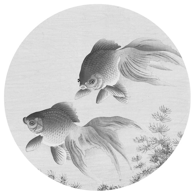 Foto van Wallart behangcirkel two goldfish 142,5 cm