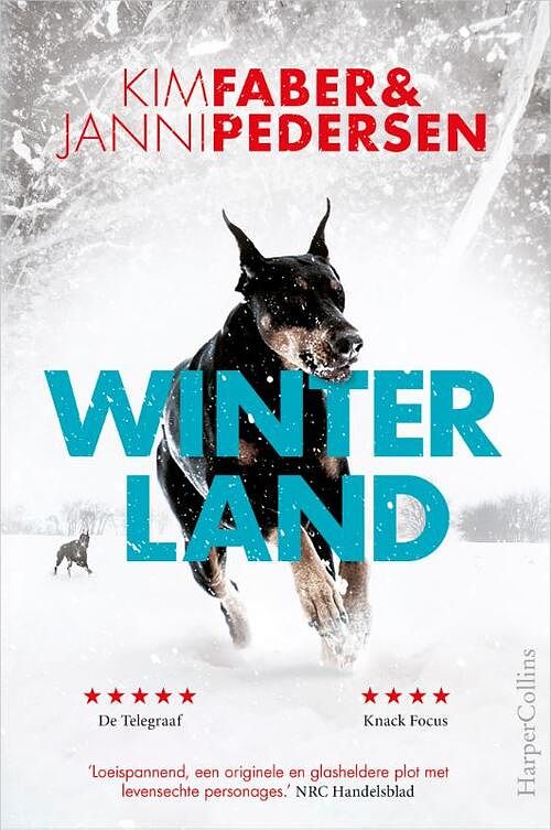 Foto van Winterland - janni pedersen, kim faber - paperback (9789402712711)