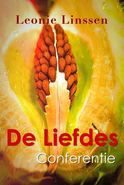 Foto van De liefdesconferentie - leonie linssen - ebook (9789082264760)