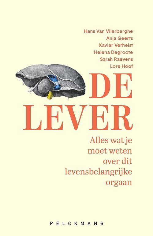 Foto van De lever - hans van vlierberghe, anja geerts, xavier verhelst, helena degroote, sarah raevens, lore hoof - ebook