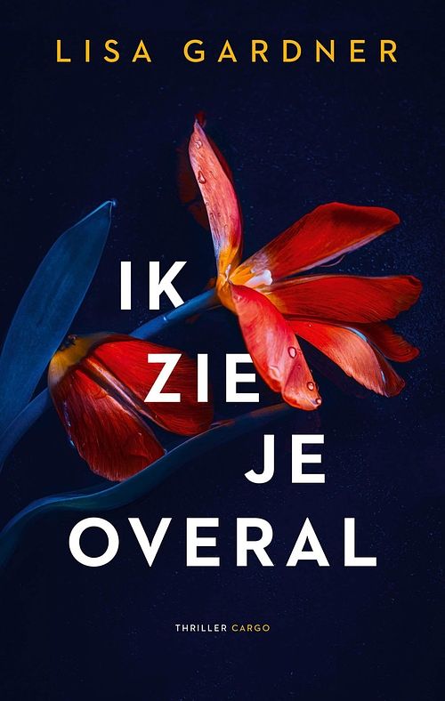 Foto van Ik zie je overal - lisa gardner - ebook