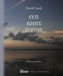 Foto van Een soort troost - david troch - ebook