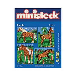 Foto van Ministeck paard met achtergrond