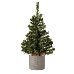 Foto van Volle mini kerstboom groen in jute zak 60 cm inclusief taupe pot - kunstkerstboom