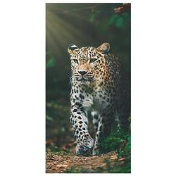 Foto van Animal pictures strandlaken luipaard - 70 x 140 cm - katoen