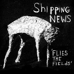 Foto van Flies the fields - lp (0036172009916)