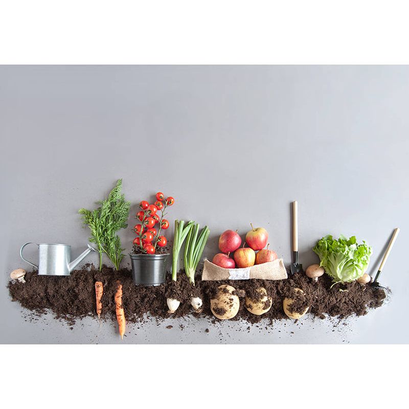 Foto van Inductiebeschermer - fruits and greens - 75x55 cm