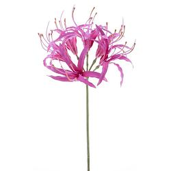 Foto van Nerine spray beauty 90 cm kunstbloemen