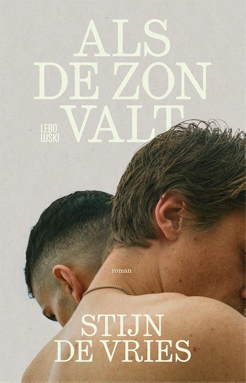 Foto van Als de zon valt - stijn de vries - ebook