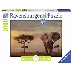 Foto van Ravensburger puzzel olifant in het masai mara - 1000 stukjes