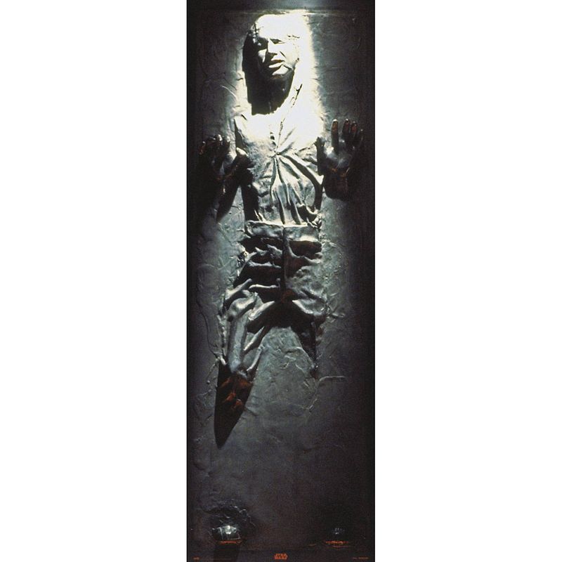 Foto van Grupo erik star wars han solo carbonite poster 53x158cm