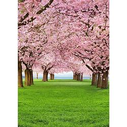 Foto van - cherry trees - 183 x 254 cm - multi