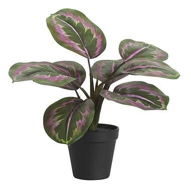 Foto van Kunstplant calathea bush in pot - groen/roze - 30 cm - leen bakker