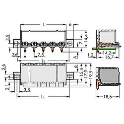 Foto van Wago 2092-3422/005-000 male behuizing-board 2092 totaal aantal polen: 2 rastermaat: 7.50 mm 100 stuk(s)