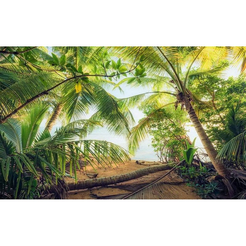 Foto van Komar piratenversteck vlies fotobehang 450x280cm 9-banen