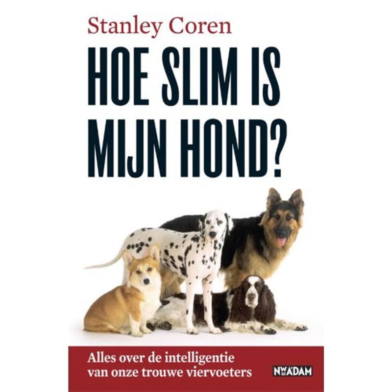 Foto van Hoe slim is mijn hond?