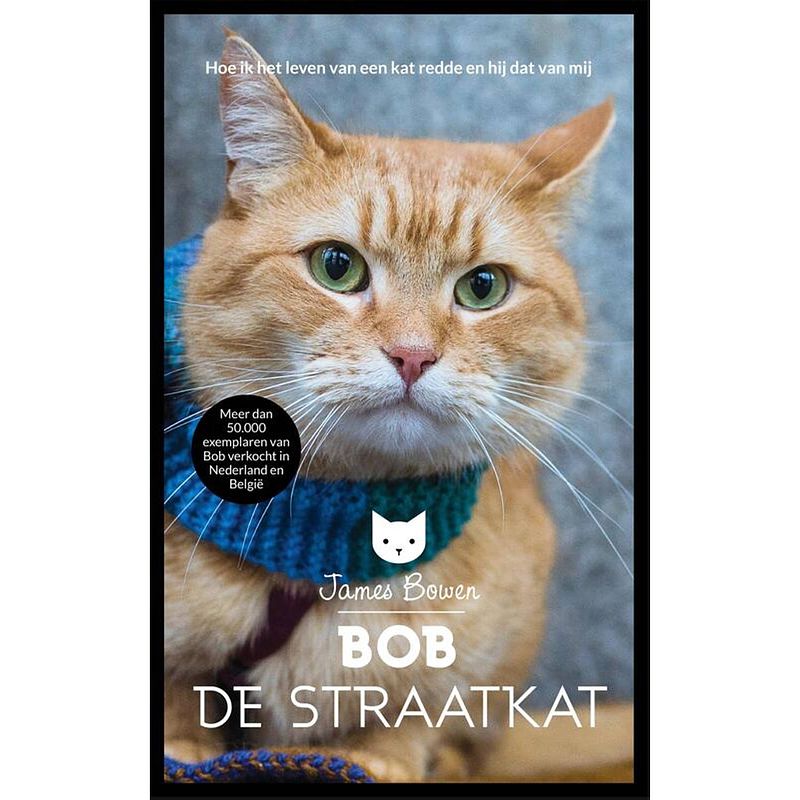 Foto van Bob de straatkat