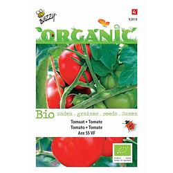 Foto van 5 stuks organic tomaten ace 55vf (skal 14725)