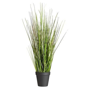 Foto van Grass bush in pot - 53 cm - leen bakker