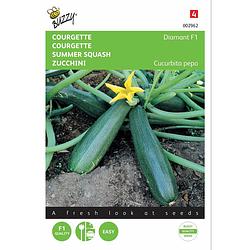 Foto van 2 stuks zucchini courgette diamant f1