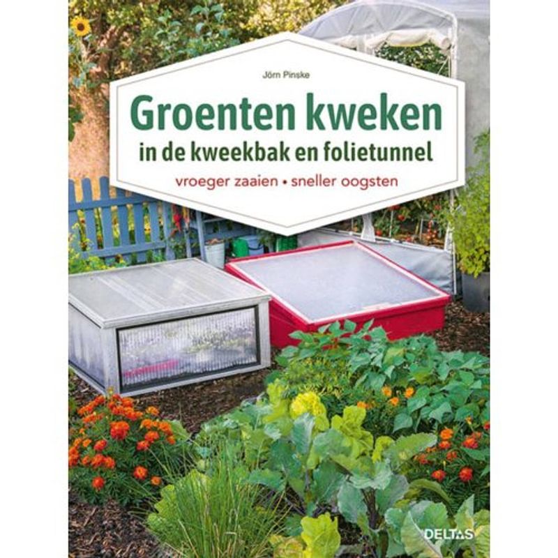 Foto van Groenten kweken