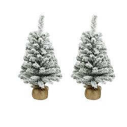 Foto van 2x stuks kunstboom/kunst kerstboom met sneeuw 75 cm kerstversiering - kunstkerstboom