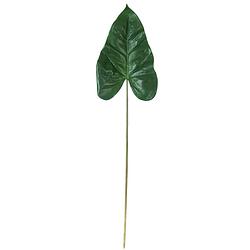 Foto van Gerimport kunstplant calathea blad 73 cm donkergroen