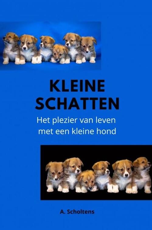 Foto van Kleine schatten - a. scholtens - paperback (9789403686585)