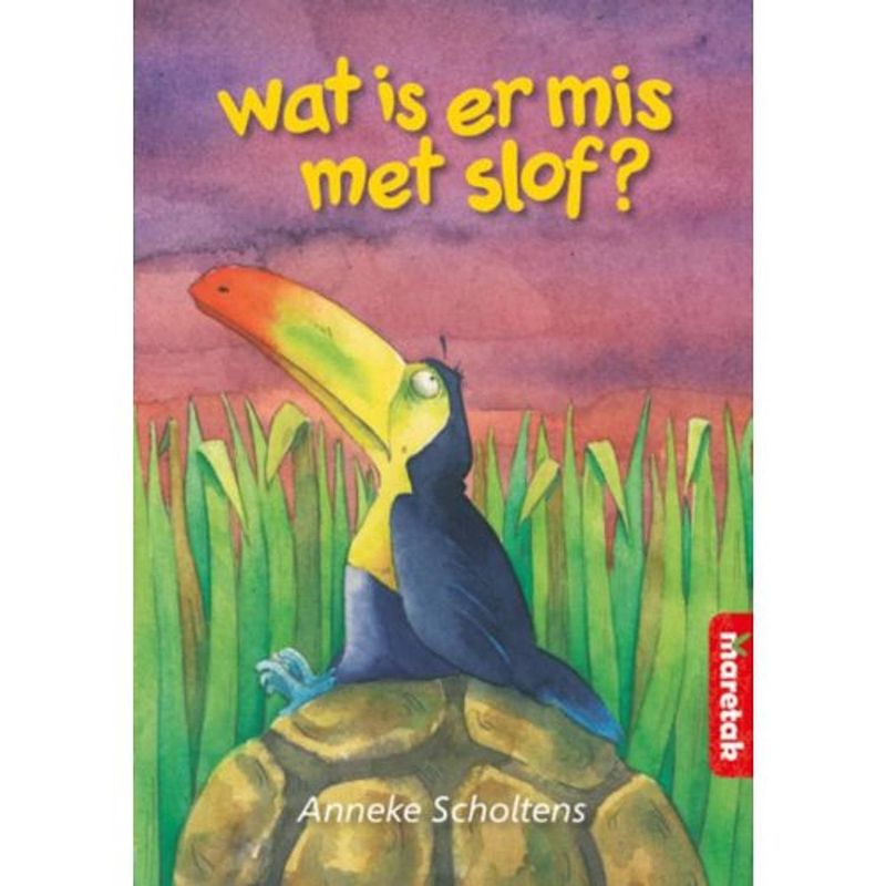 Foto van Wat is er mis met slof? - boemerang