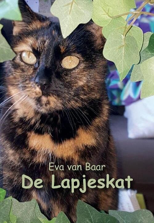 Foto van De lapjeskat - eva van baar - paperback (9789463453288)