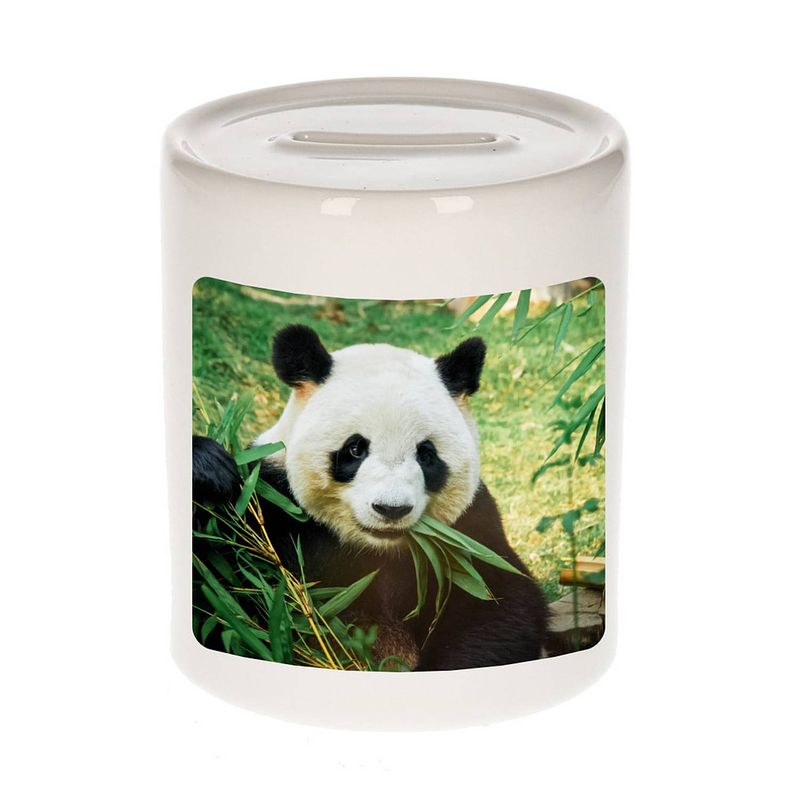 Foto van Dieren foto spaarpot panda 9 cm - pandaberen spaarpotten jongens en meisjes - spaarpotten