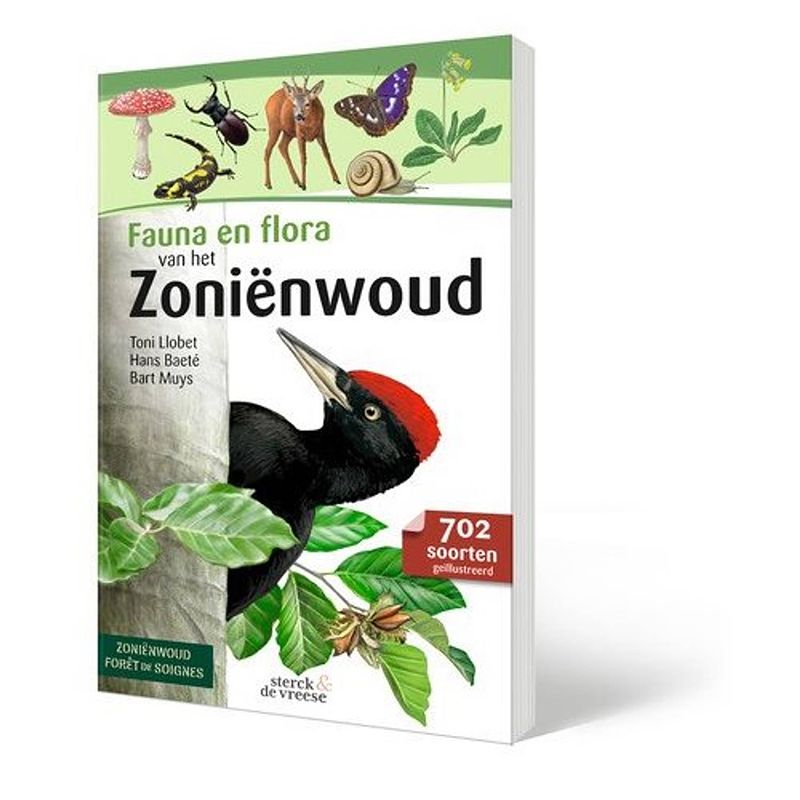 Foto van Fauna en flora van het zoniënwoud