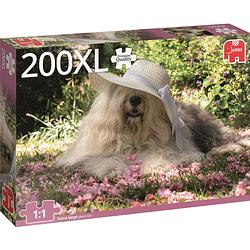 Foto van Sophie de hond xl puzzel