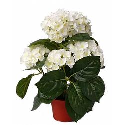 Foto van Kunst hortensia plant wit 36 cm - kunstplanten