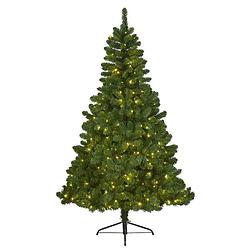 Foto van Kerstboom imperial pine210cm+ledverlicht kerstartikelen