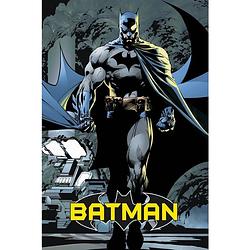 Foto van Gbeye batman comic comic poster 61x91,5cm