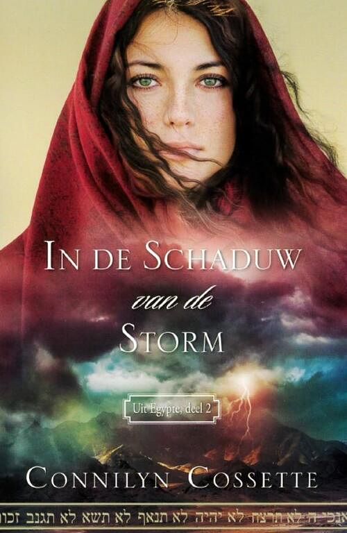 Foto van In de schaduw van de storm - connilyn cossette - ebook (9789064510649)