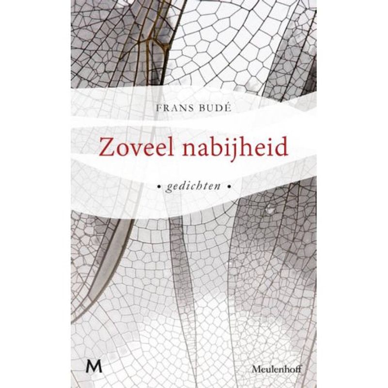 Foto van Zoveel nabijheid