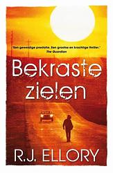 Foto van Bekraste zielen - r.j. ellory - ebook (9789026133596)