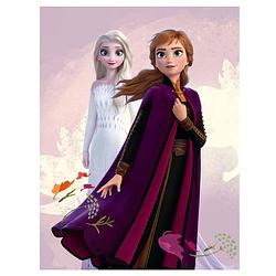 Foto van Disney frozen fleece deken sisters - 140 x 100 cm - polyester