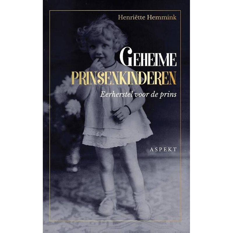 Foto van Geheime prinsenkinderen - grootletterboek