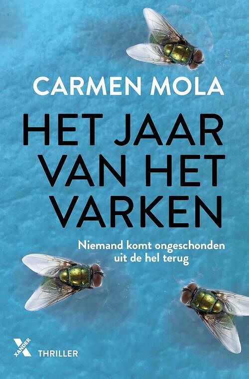 Foto van Het jaar van het varken - carmen mola - ebook (9789401616379)