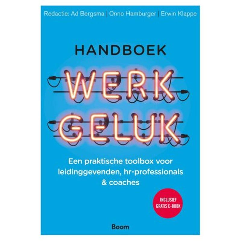 Foto van Handboek werkgeluk