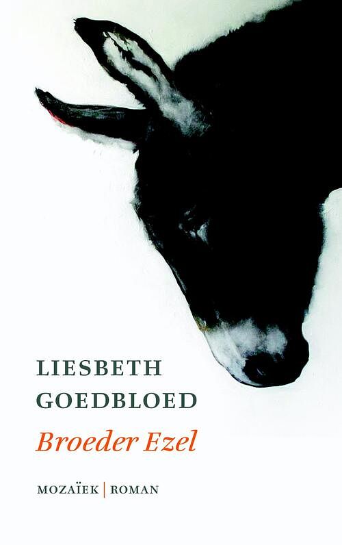 Foto van Broeder ezel - liesbeth goedbloed - ebook (9789023955276)